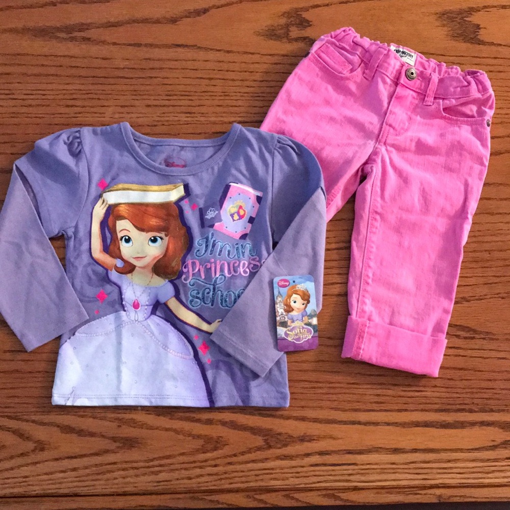 Sofia the First 3T NWT Tops/bonus Pink crop pants